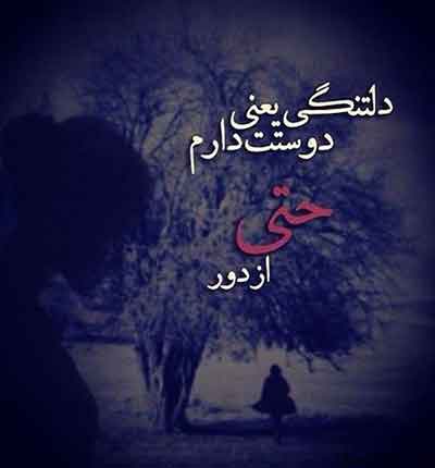 ژاکلین به خدا دلتنگم